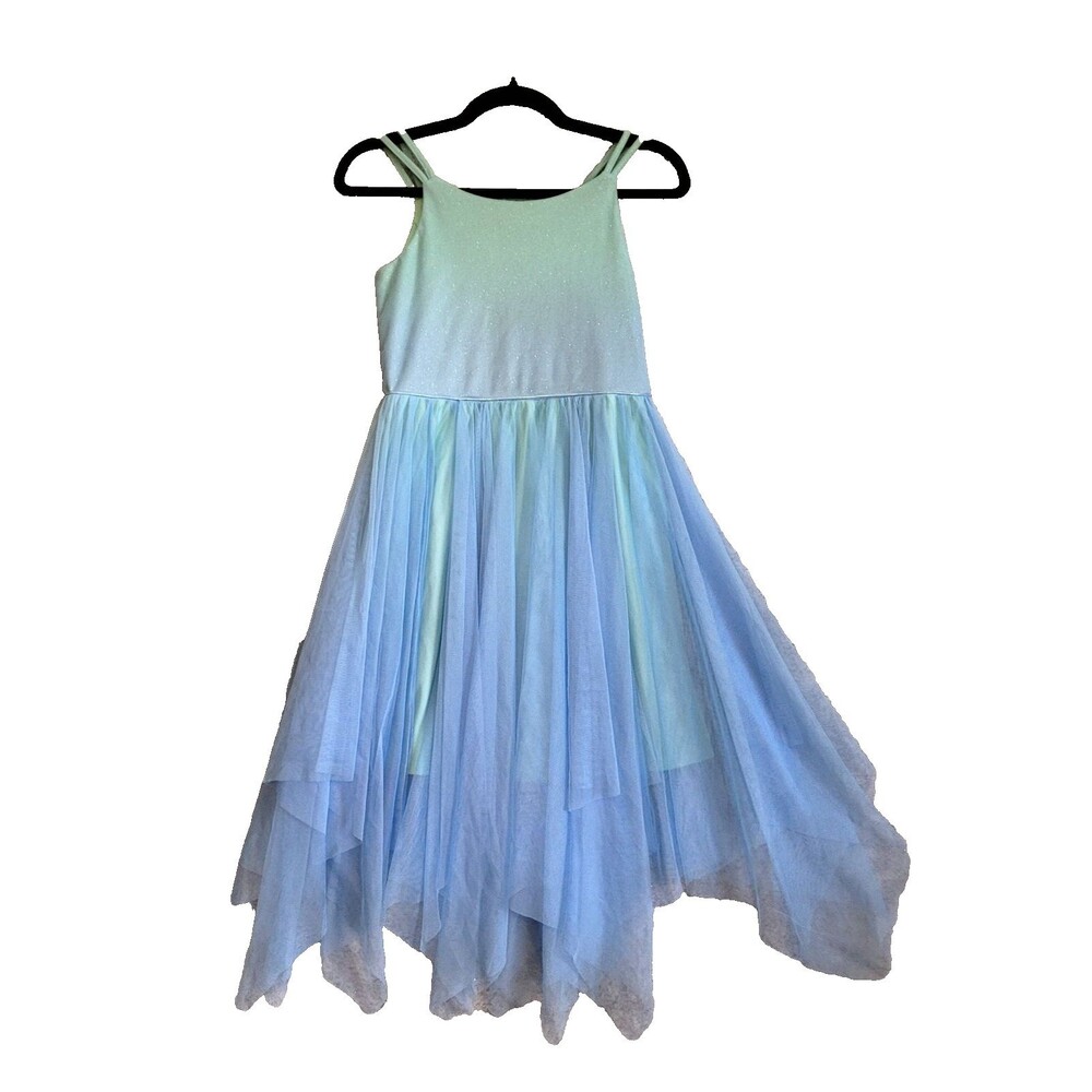 Cat & Jack Girls Dress Large Blue Princess Fairycore Dance Costume Halloween